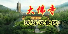 大鸡吧老板中国浙江-新昌大佛寺旅游风景区